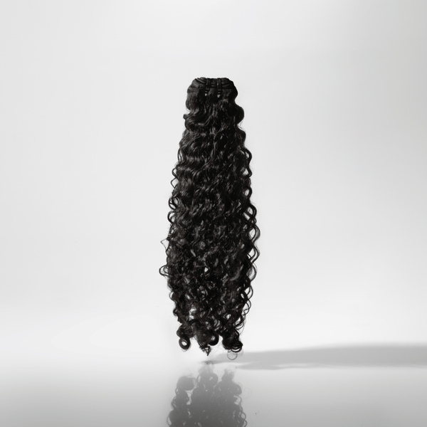 Signature Burmese Curly