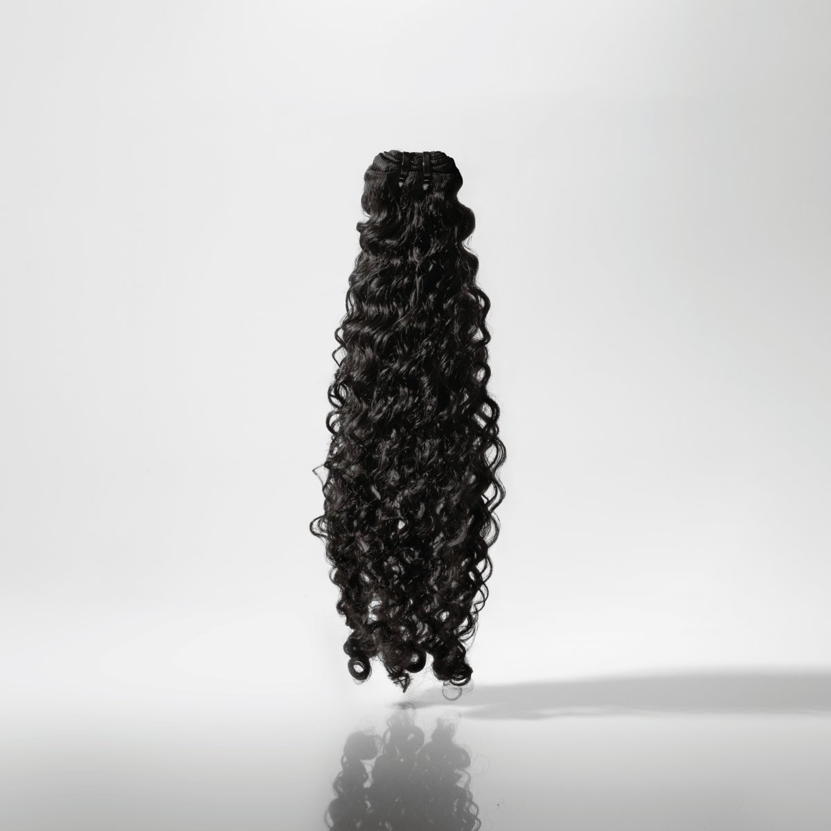 Signature Burmese Curly