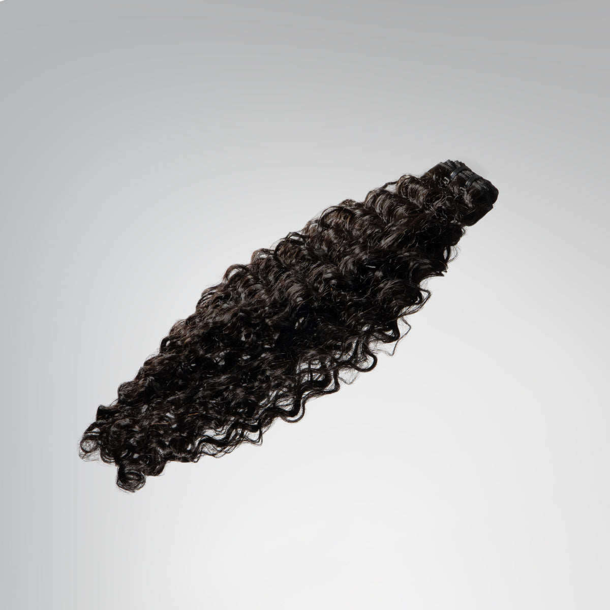 Signature Burmese Curly