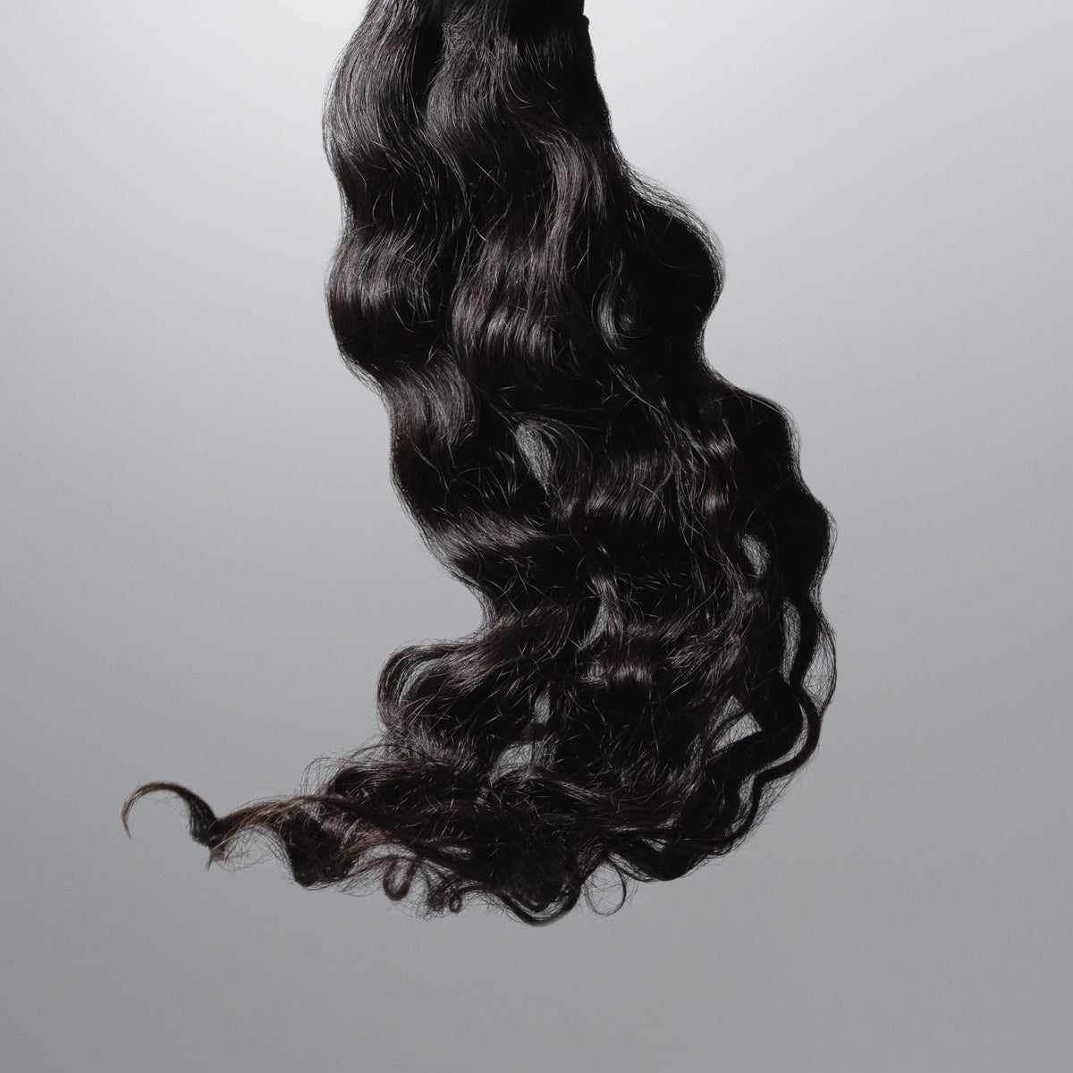 Copa Curly