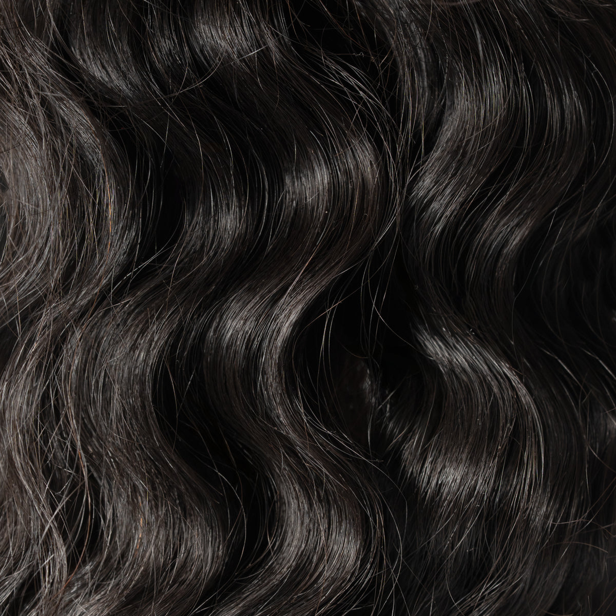 Copa Curly