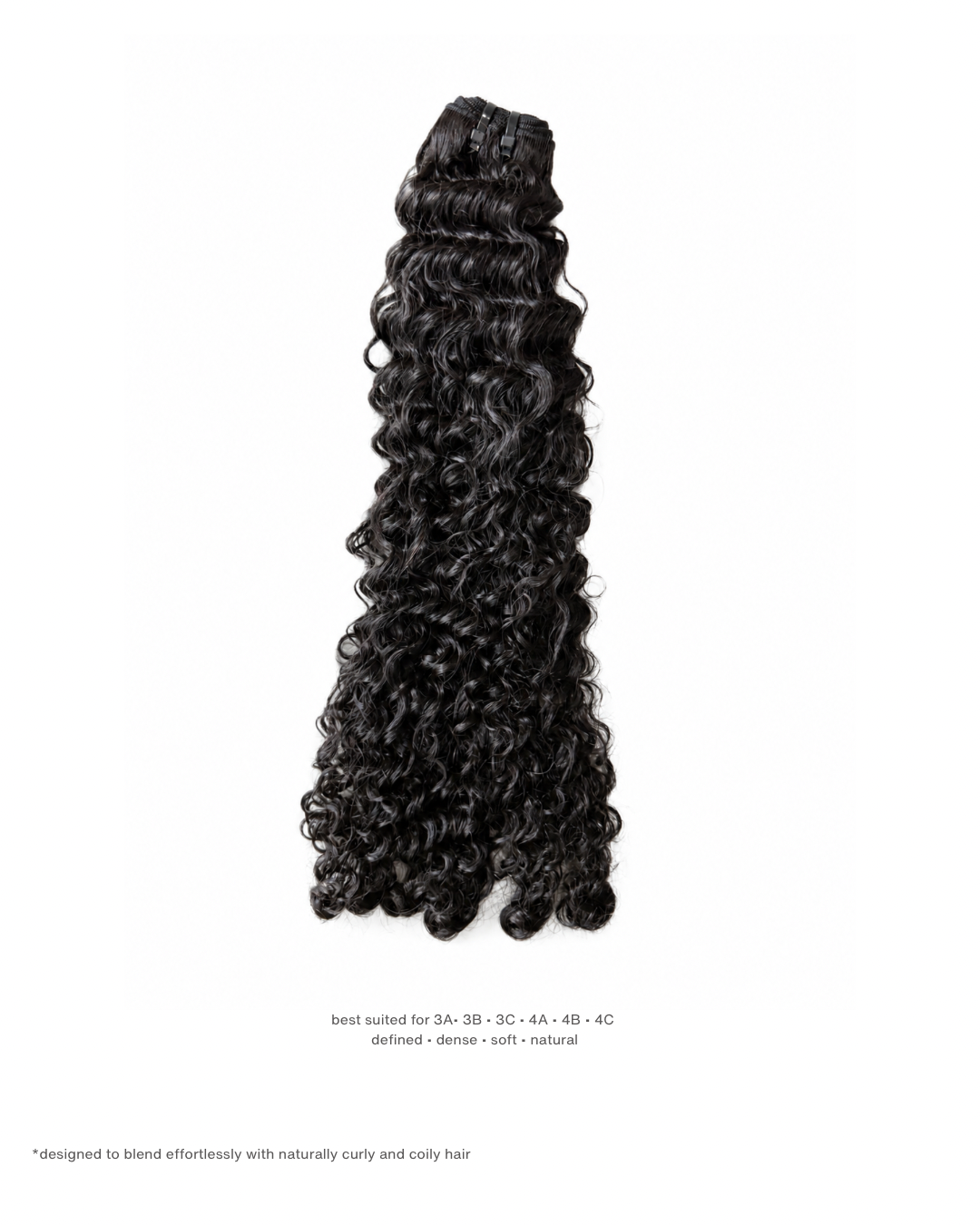 Signature Burmese Curly