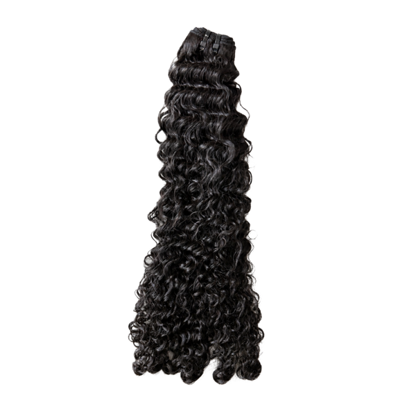 Signature Burmese Curly